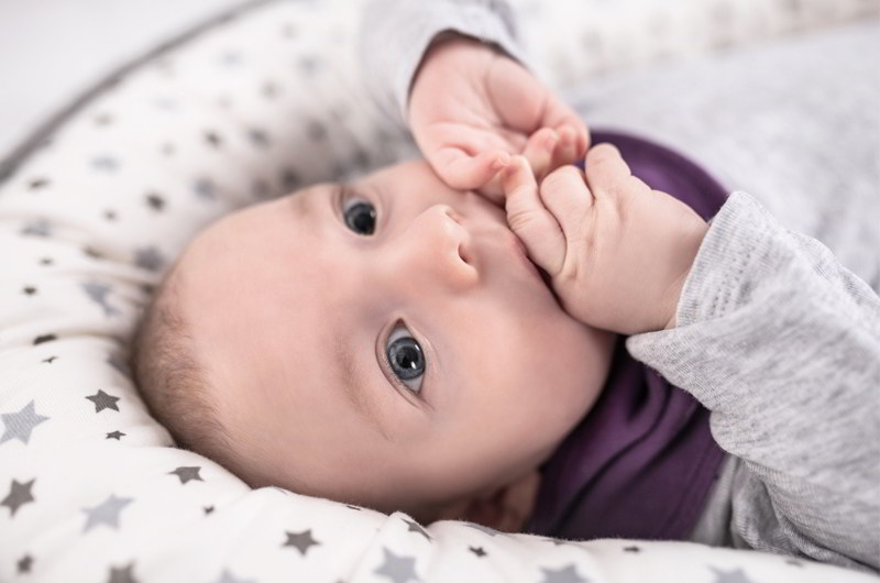 Baby im Träumeland Nest HOME nuckelt an seinen Fingern Baby im Träumeland Nest HOME nuckelt an seinen Fingern