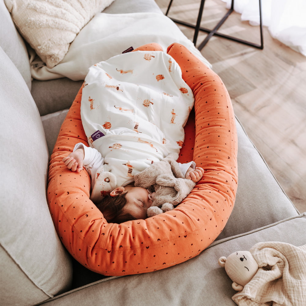 Image de Nest Home