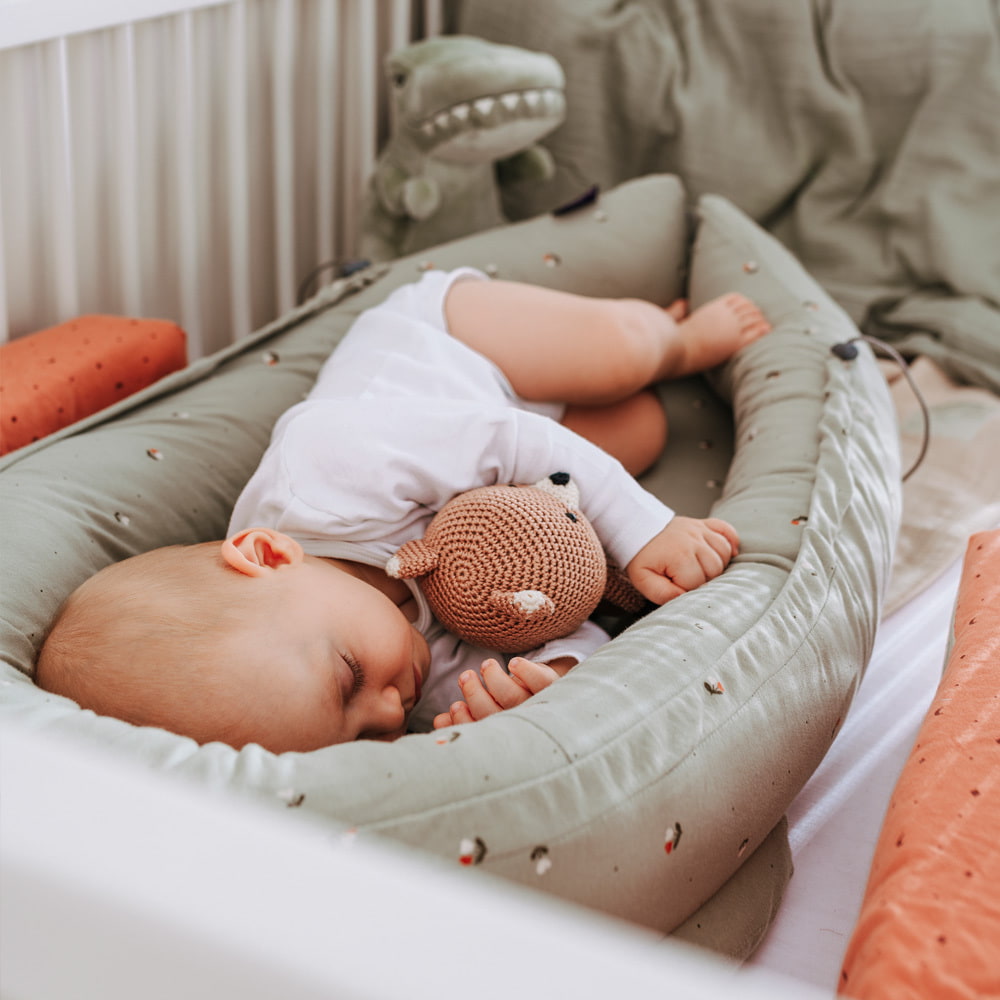 Image de Nest Home