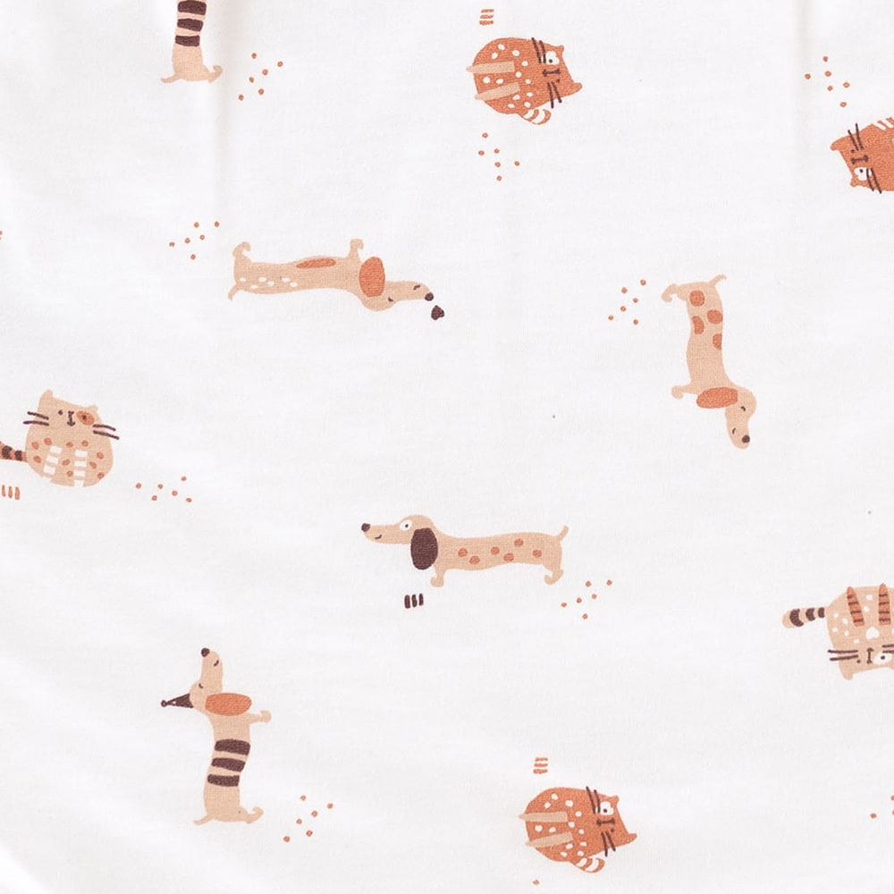 cats&dogs design