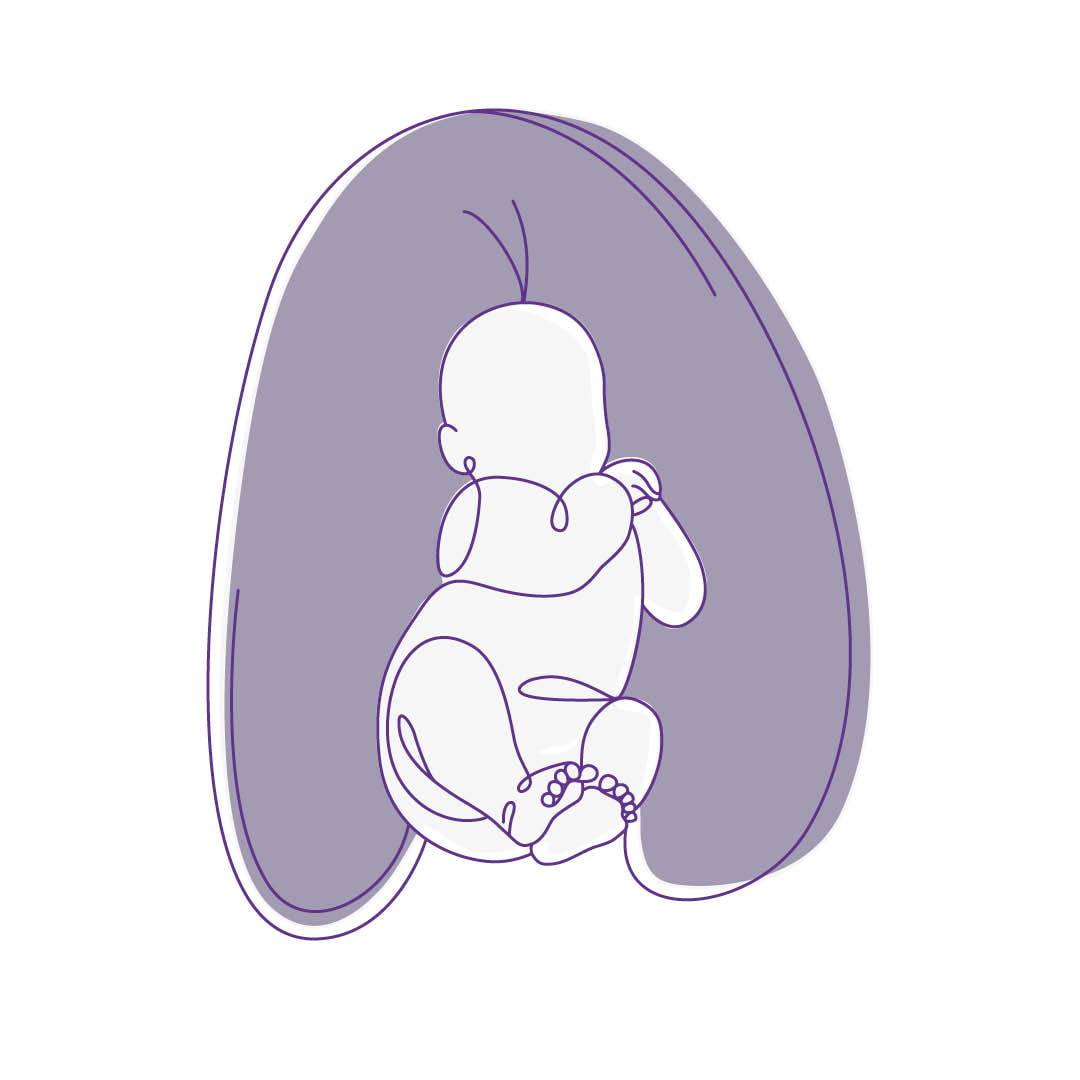 Nursing pillow as a baby nest traeumeland-baby-in-breastfeeding-pillow-nest