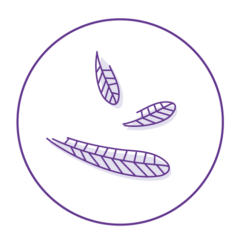 light-icon-cozy-warm-down
